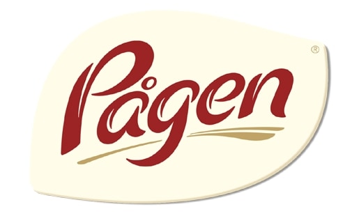 Pagen Logo